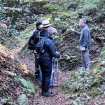 Markus Klauer wandert mit einer kleinen Gruppe durch das Waldgebiet der Argonnen